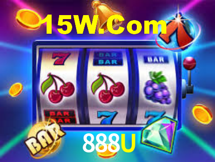 Interface Premium 888U